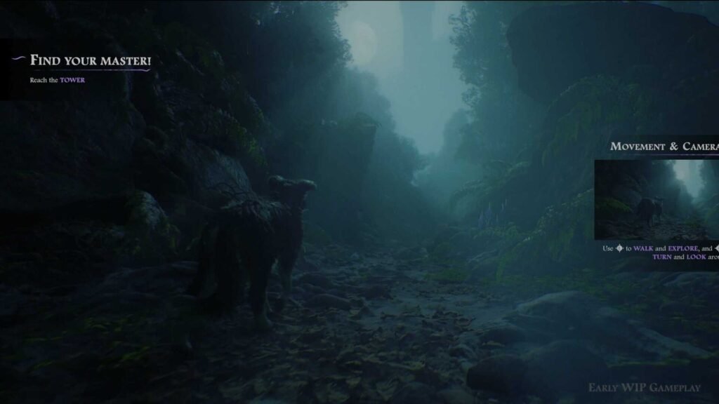Hounded si mostra nel gameplay reveal: avventura narrativa con un Border Collie protagonista